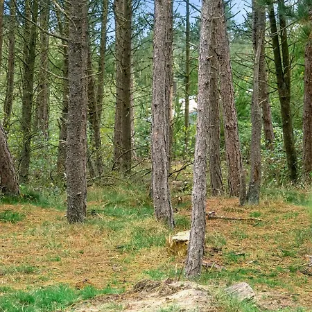 Santuzza - 3-9km From The Sea By Interhome Kongsmark