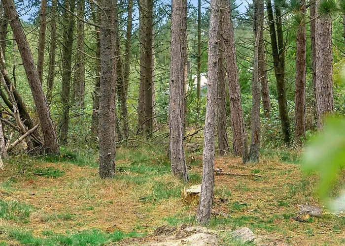 Prázdninový dům Santuzza - 3-9km From The Sea By Interhome Kongsmark